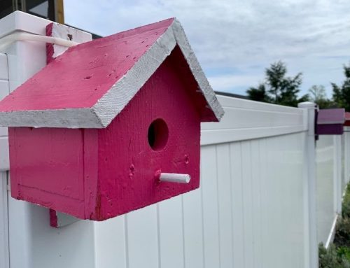 Spring Summer Outdoor Projects