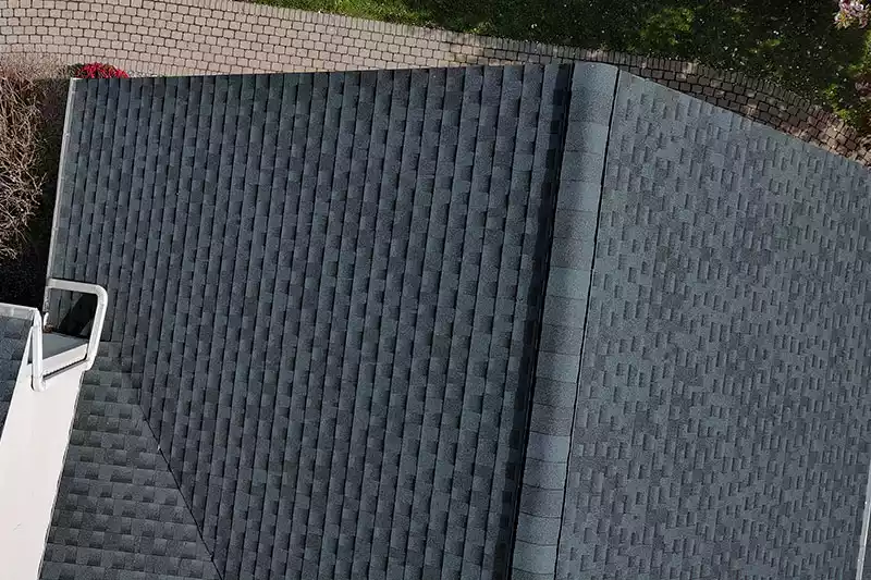 black roof