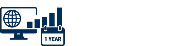 Blue infographic monitor with globe and rising bars, '1 YEAR' calendar, highlighting a 700% increase in website visibility.